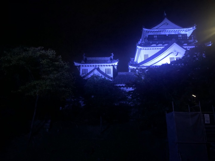 岡崎城（愛知県）徳川家康が誕生した城。出張でよく行く実験施設のすぐ近くにある。